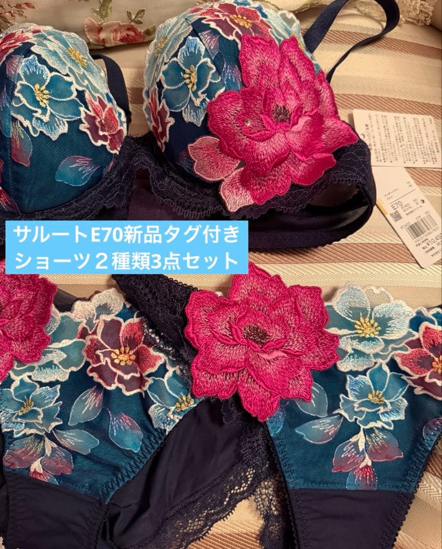 サルート3点セット定価20900円ブラジャーE70、Tショーツ、ノーマルMサイズ