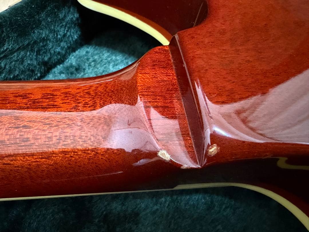 希少、美品】ESP potbelly TR 専用ハードケース付き