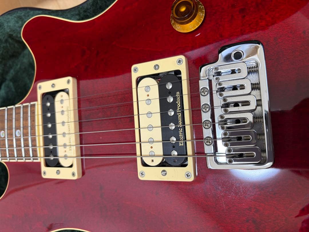 希少、美品】ESP potbelly TR 専用ハードケース付き