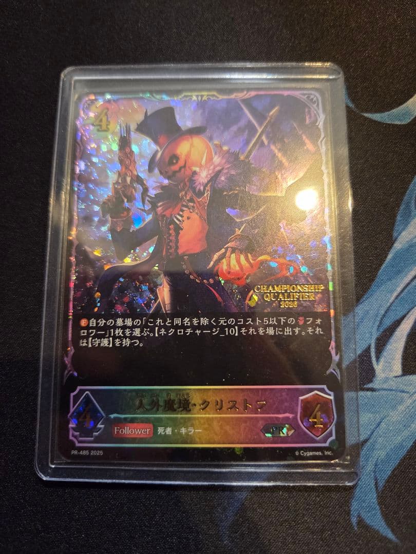 人外魔境クリストフ エリア予選プロモ