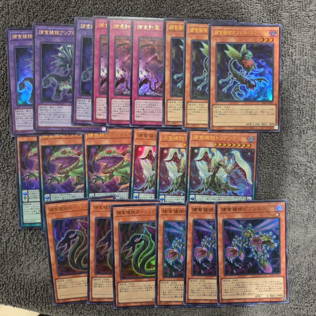 遊戯王 捕食植物/プレデタープランツ アシストパック　再録ウルトラ　３コン 捕食植物トリフィオヴェルトゥム/ウルトラ【融合】《DP22-JP045