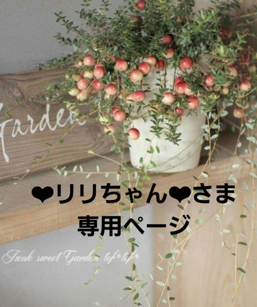 ❤︎リリちゃん❤︎さま専用ページ•*¨*•.¸♬︎