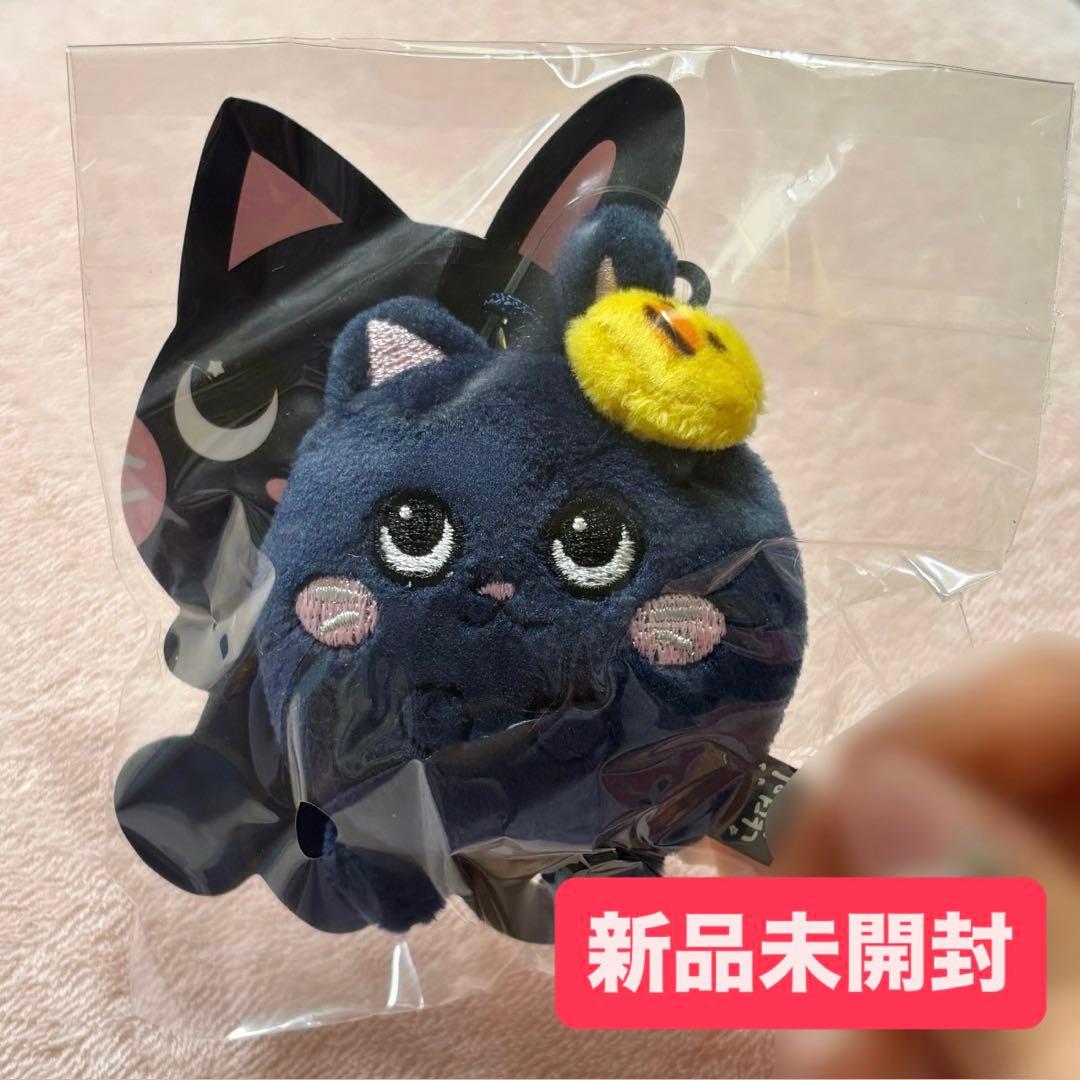 新品】RIIZE ウォンビン トニャンドク ミニドール キーリング - メルカリ