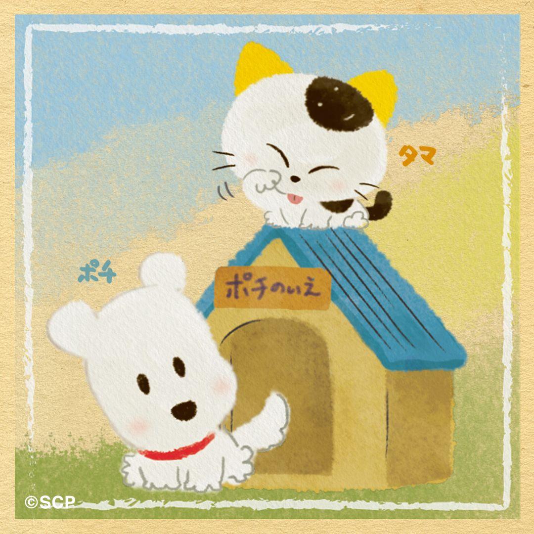 うちのタマしりませんか　正方形3