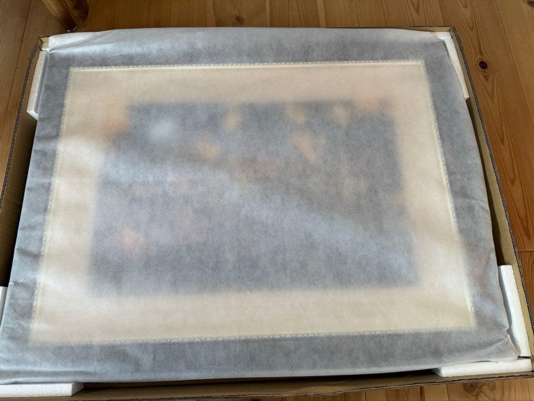 最終値下げ】塔の上のラプンツェル アールビバン絵画 - メルカリ