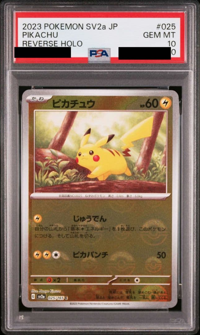 ピカチュウ リバホロ PSA10 PSA10鑑定済〕ピカチュウ【RR】{010/032}