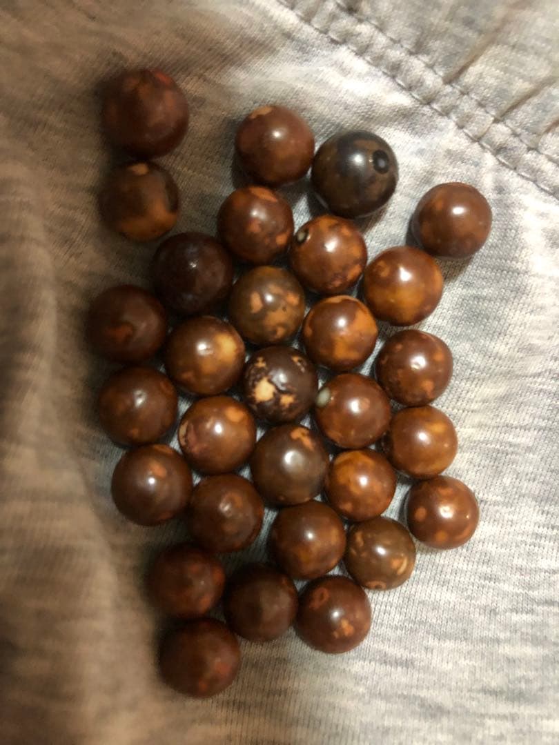 アースボールブルー30個