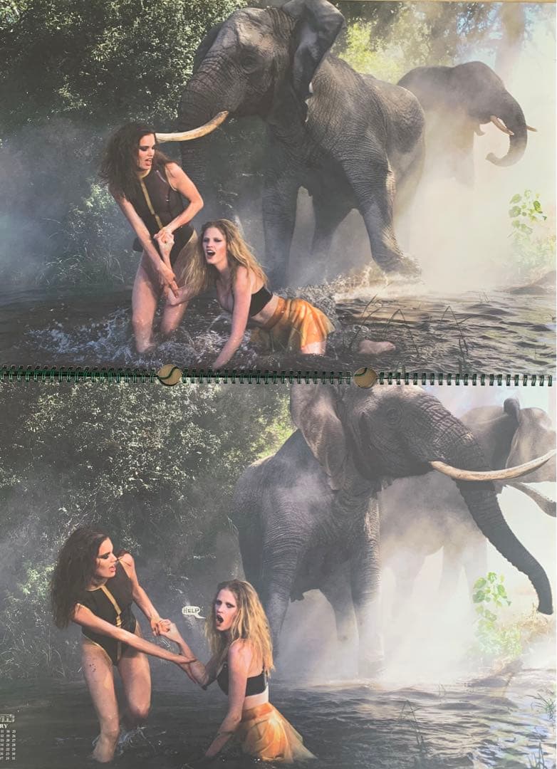 Peter Beard カレンダーPirelli 2009