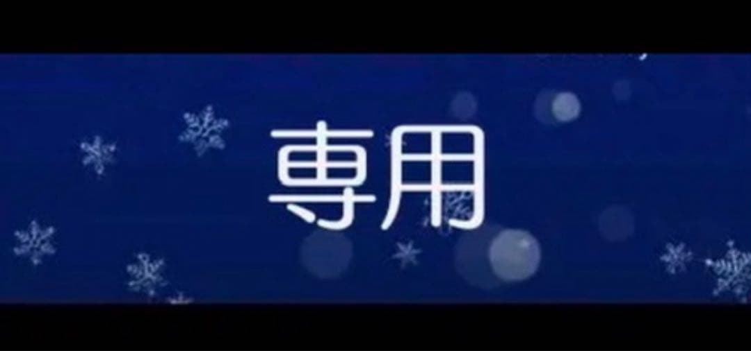 アクセサリー Qi