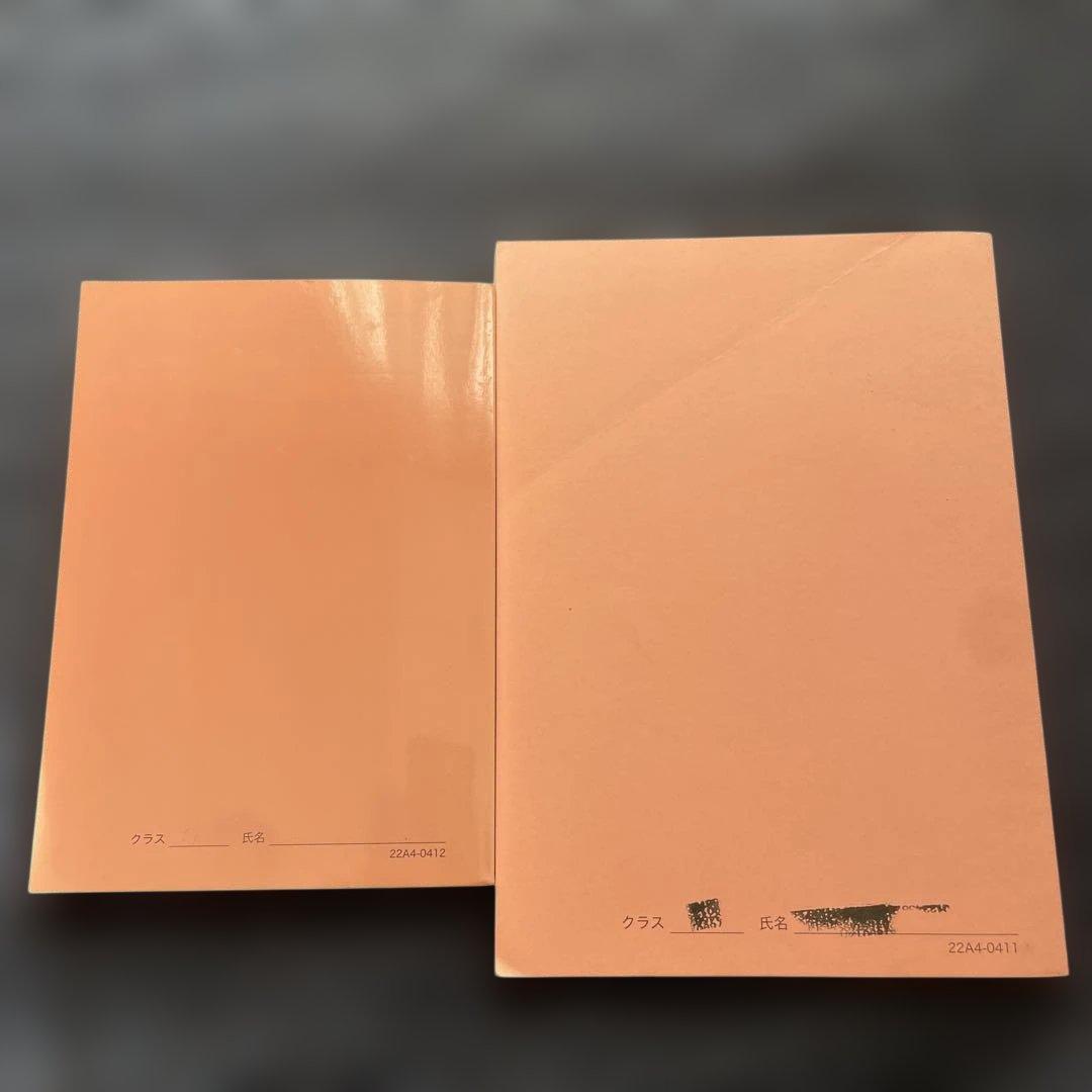 新品 鉄緑会高1英語発展講座英文法テキスト・問題集セット(2022