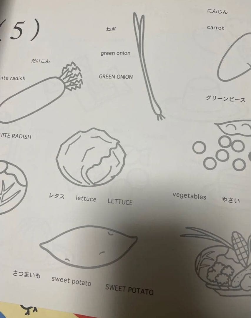 単語ぬり絵 5冊セット 家庭保育園 バイリンガルファミリー 知育 英語