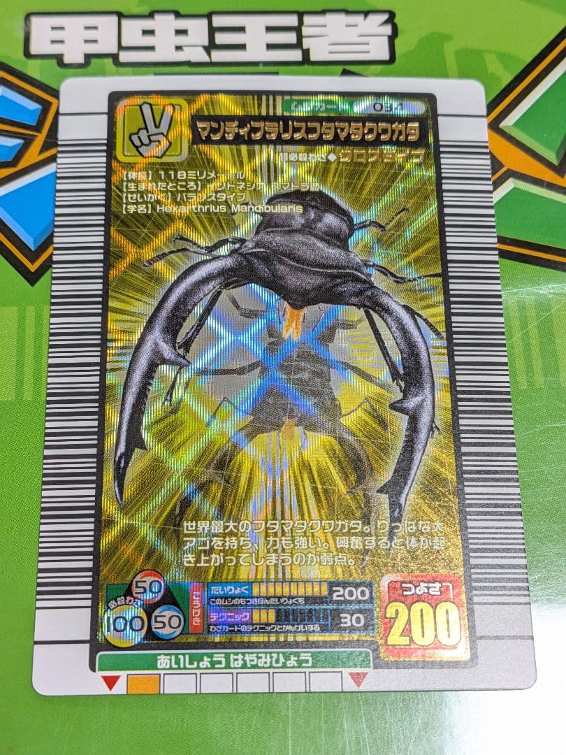 スパス様確認用