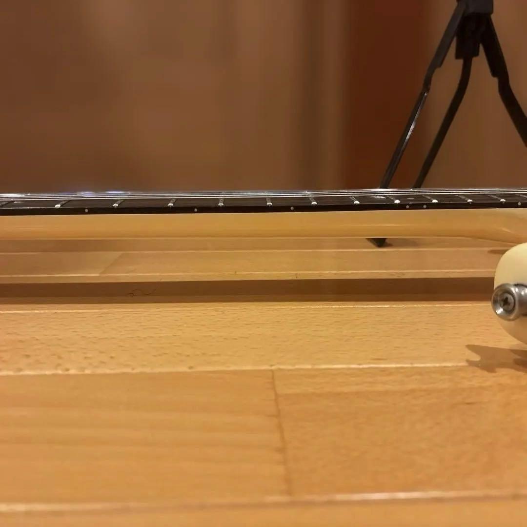 Kenさん専用】Aria Pro II RS Wildcat アーム付 新品弦 - メルカリ