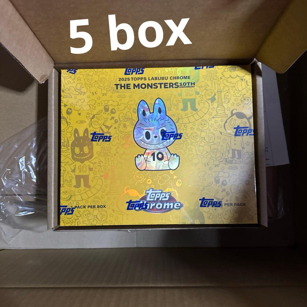 新品未開封 LABUBU 10th Anniversary ボックス