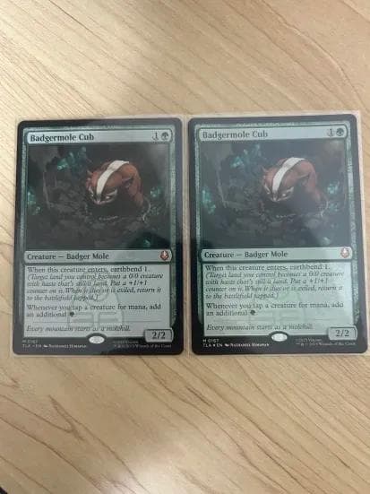 MTG アナグマモグラの仔/Badgermole Cub 英語版2枚セット アナグマモグラの仔/Badgermole Cub (全面アート版) 【英語版】 [TLA