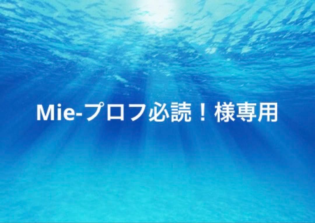 Mie-プロフ必読！