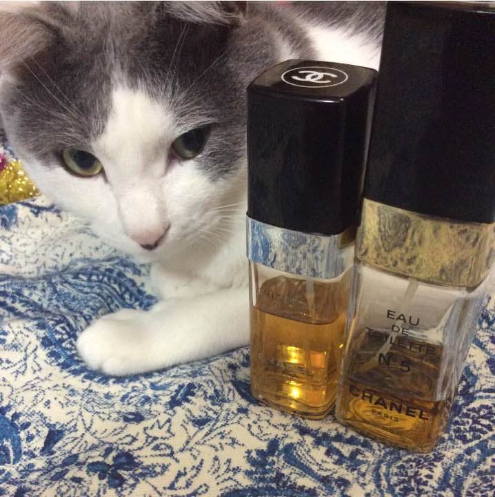 【お取り置き品】シャネル №５ 100ml／クリスタル 60ml