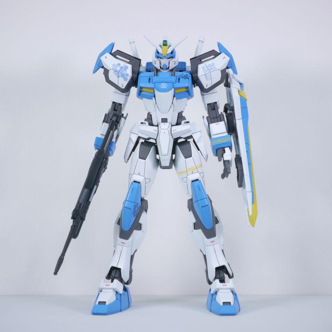 MG デュエルガンダム 塗装 完成品 バンダイ ガンプラ 1/100