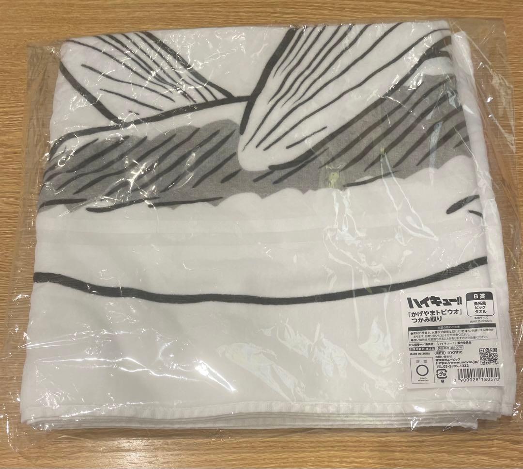 ハイキューファンパーク かげやまトビウオ つかみ取り B賞 魚拓風