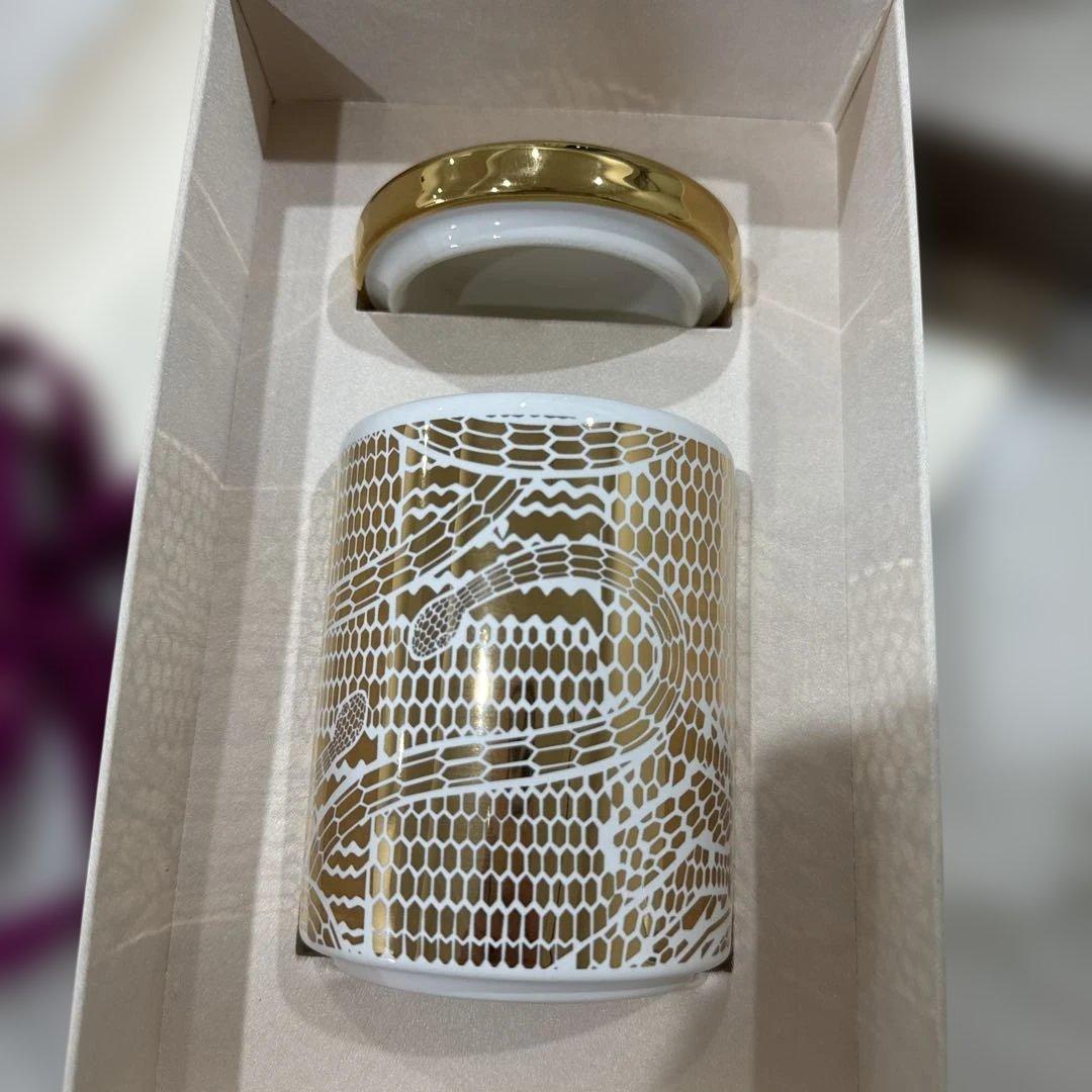 BVLGARI スネークパターンキャンドル Green Python leather Serpenti Forever Mini Top Handle Bag 294548