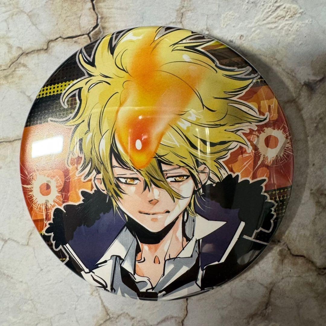 天野明展 REBORN リボーン コレクション缶バッジA ボンゴレI世 15