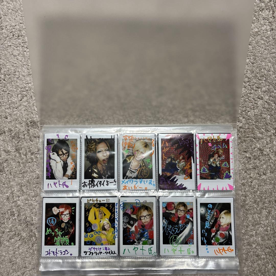 コドモドラゴン　ハヤトチェキ　100 枚セット