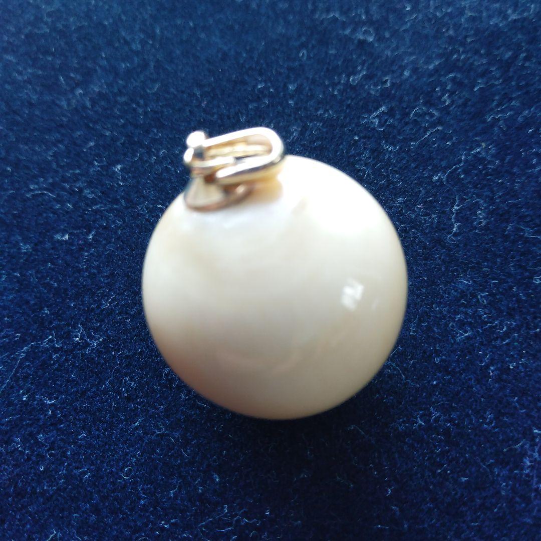 鯨歯　マッコウクジラ　牙玉　特大約23㎜