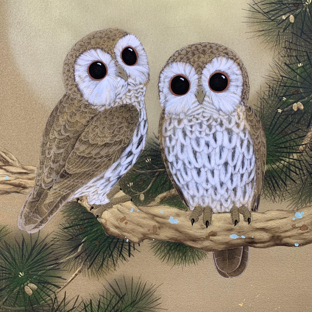 美品 掛け軸 広森耕仁作 夫婦梟図 共箱 太巻き付 美術年鑑掲載作家