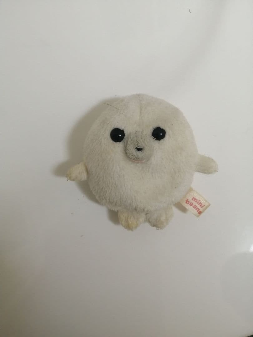 汚れたくまさん