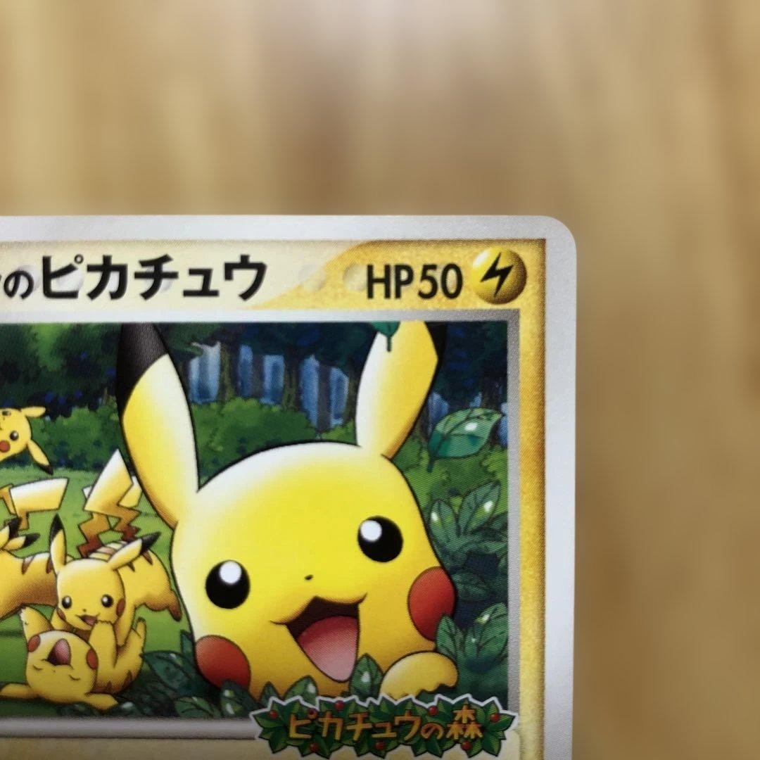 ポケパークのピカチュウ - メルカリ