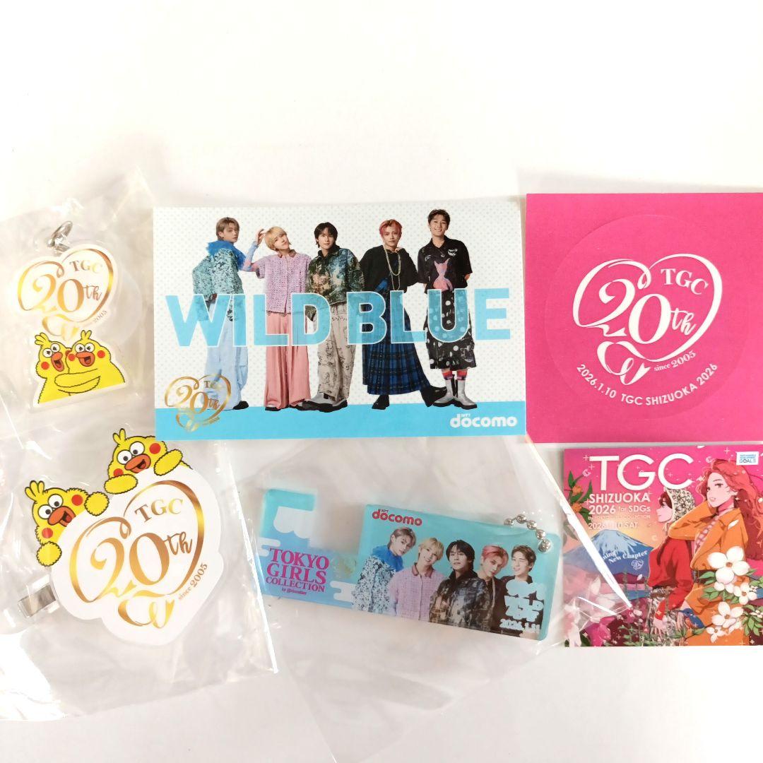 WILD BLUE TGC 20周年記念キーホルダーステッカーセット 6点セット