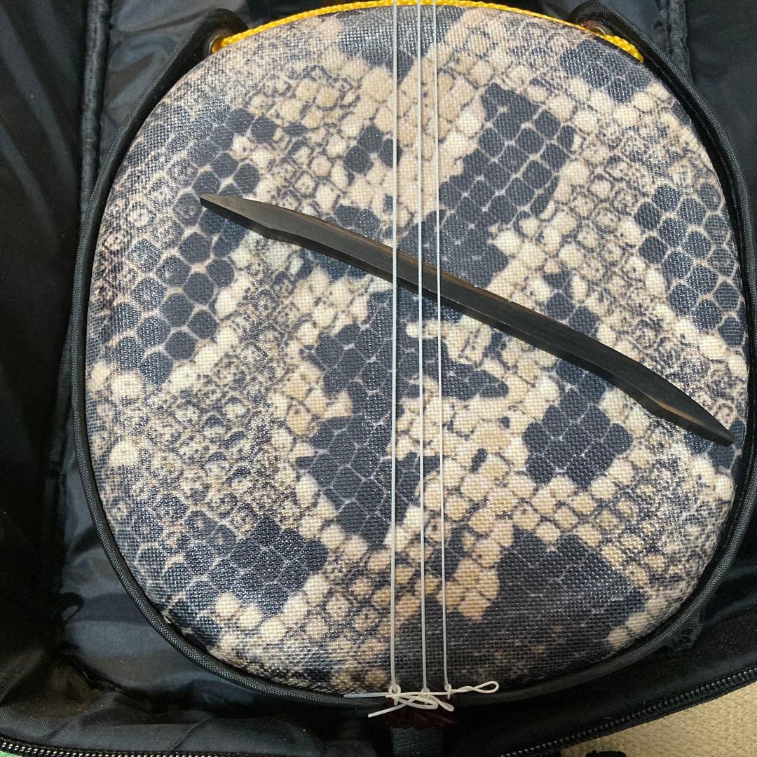 三線 DVD付き スターターセット 沖縄本島柄人工革