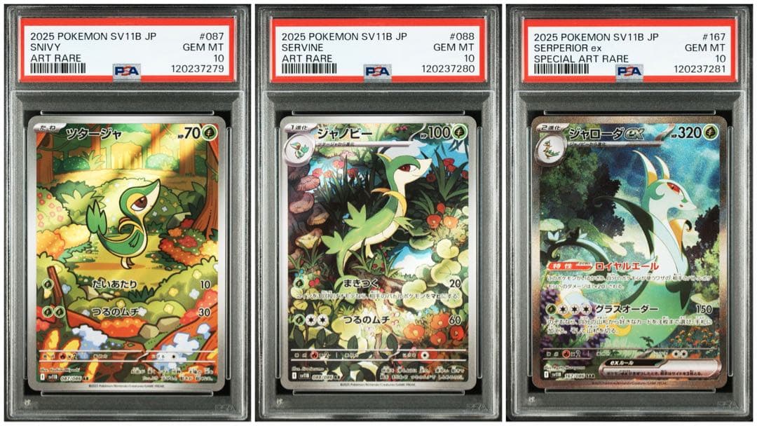 PSA10】 ツタージャ ジャノビー ジャローダex SAR 進化ライン 連番
