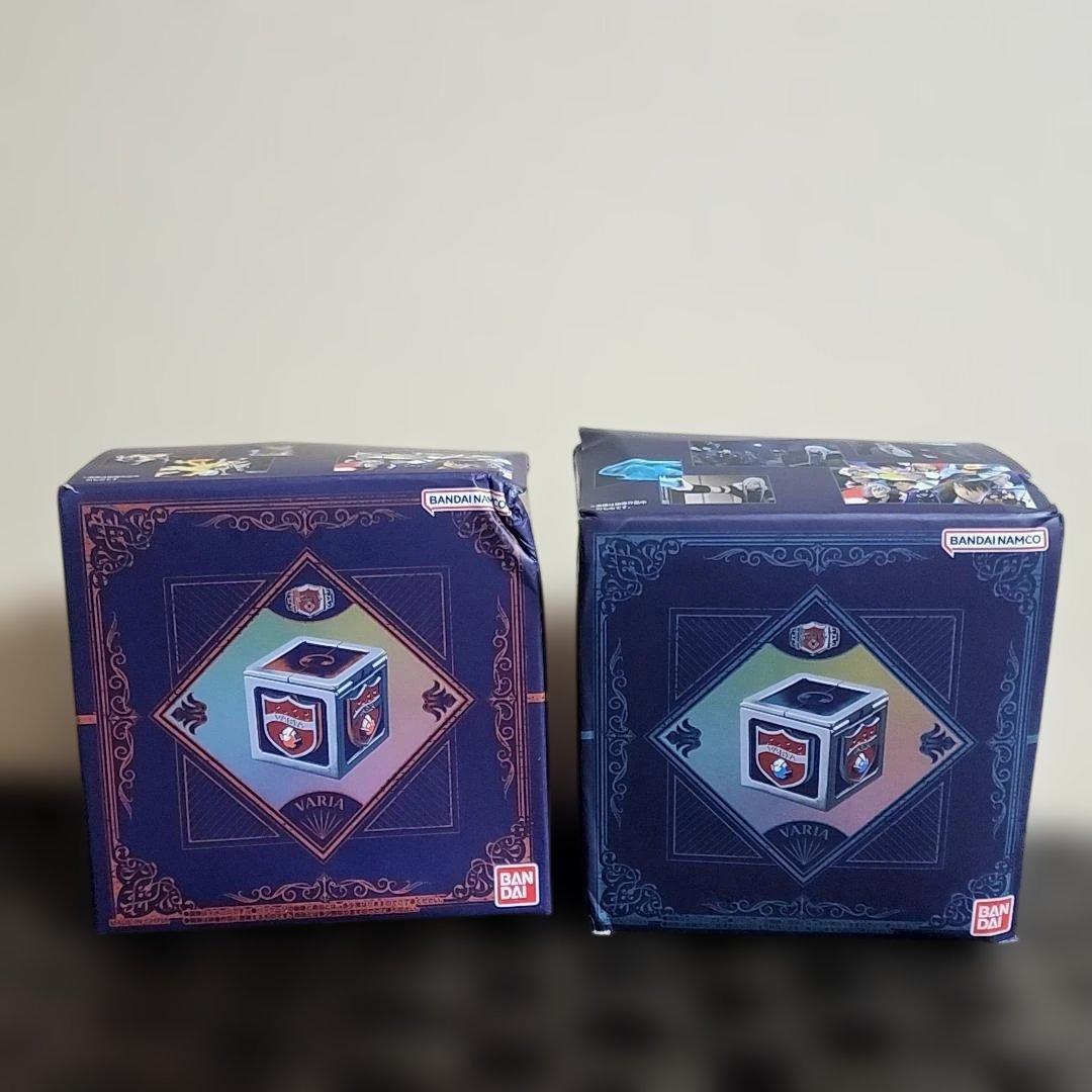 家庭教師ヒットマンREBORN!　匣ヴァリアー　リング 家庭教師ヒットマンREBORN 匣 ボンゴレリング ヴァリアー ボックス ⑤