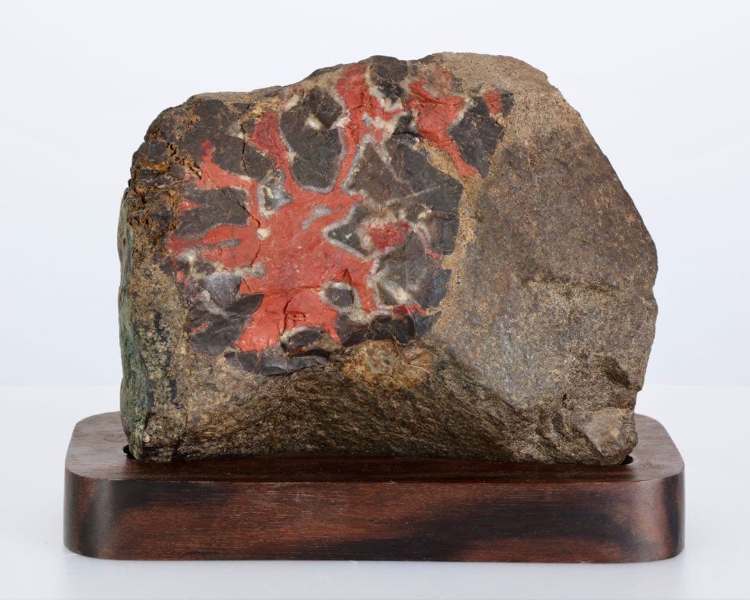 G*o様 菊花石 紋石 台座付 1167g 原石 鑑賞石 天然石 水石 黒曜石