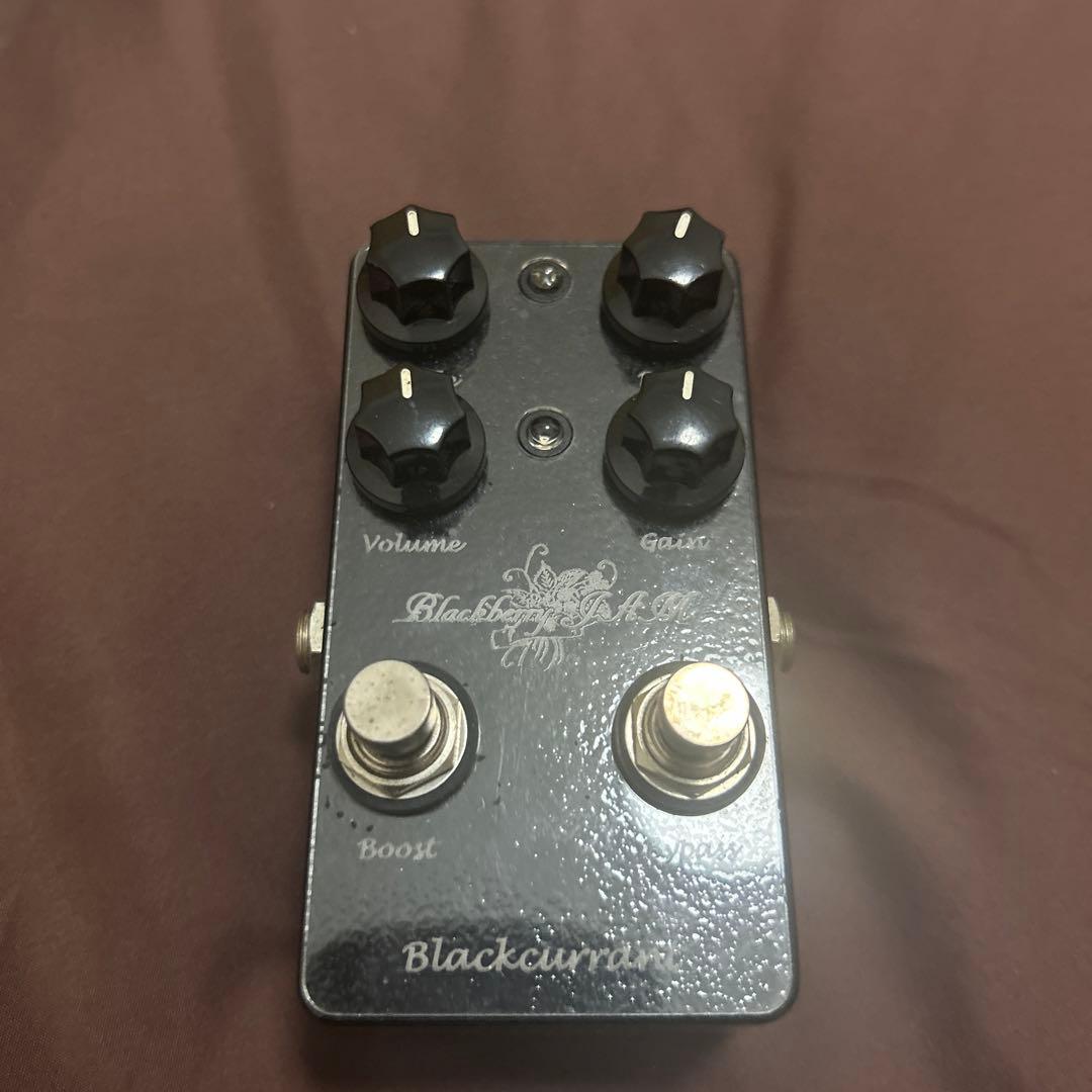ギター BlackberryJAM Blackcurrant