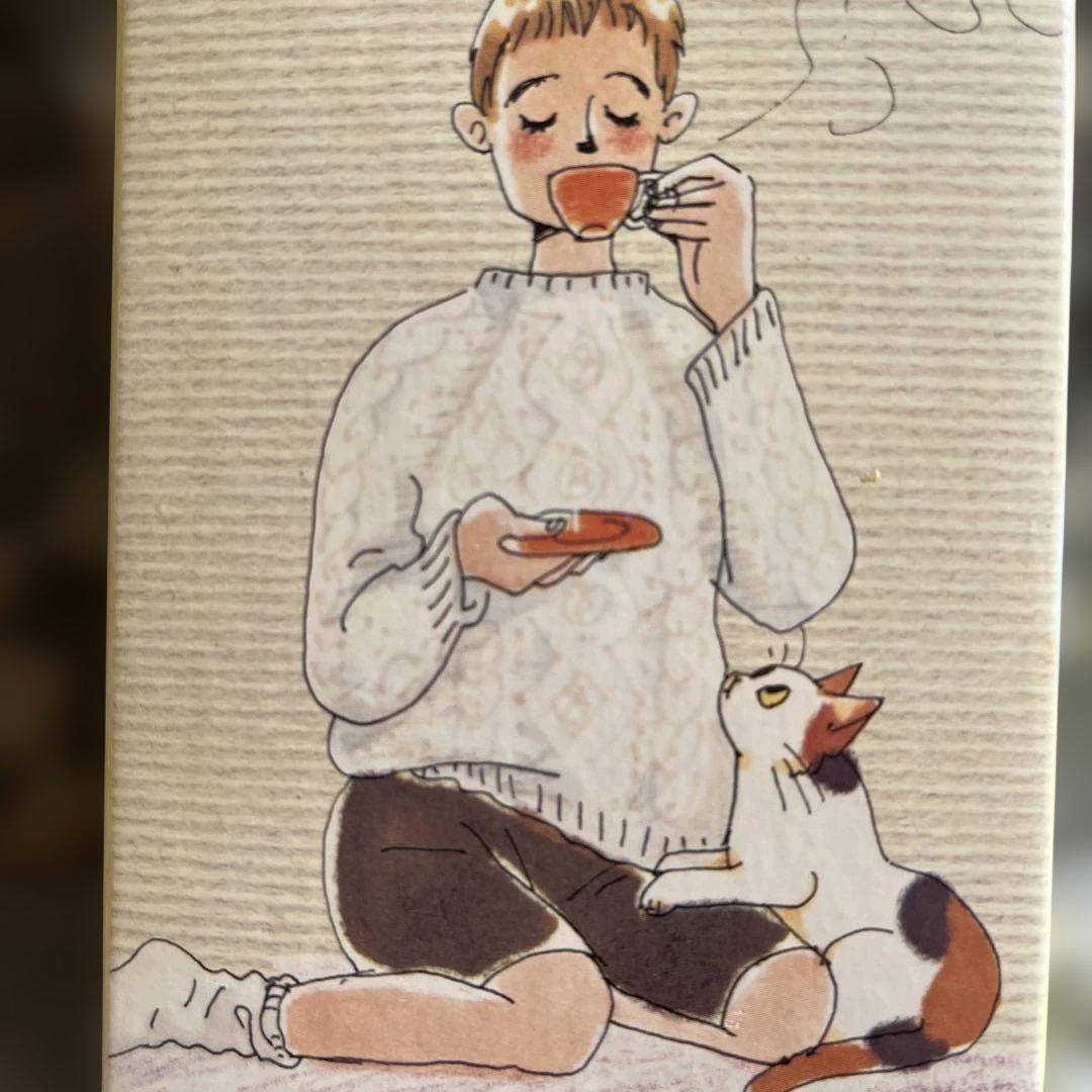 新・やっぱり猫が好き Vol.1～5 DVD-BOX〈5枚組〉