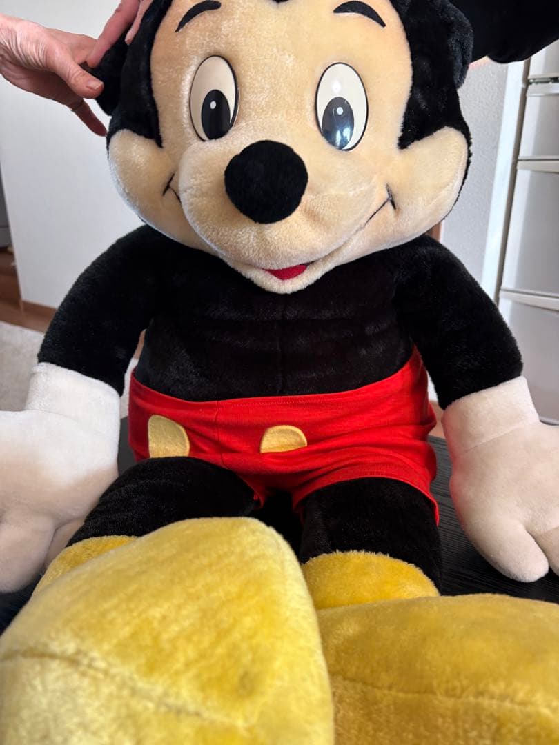 ミッキーマウス 大きいぬいぐるみ ディズニー ミッキーマウス ミッキー 大きい ぬいぐるみ 60cm Mickey