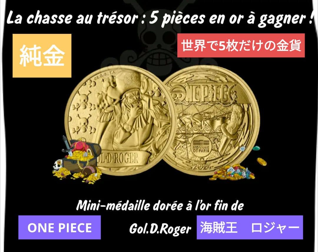 非売品 フランス ワンピース 純金 コイン メダル 25周年記念 ロジャー