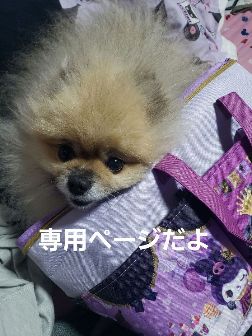 PLUEST スキンケアセット 4点セット Amazon.co.jp: PLUEST トライアルセット スキンケア 5点 基礎化粧品