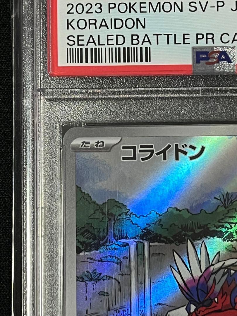 コライドン シールド戦 プロモ psa10 L108249404 - ポケモンカード