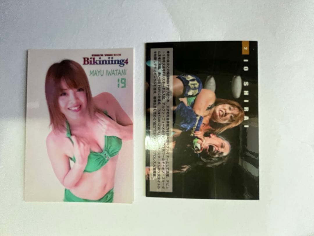 スターダム観戦ガイドブック 紫雷イオ、岩谷麻優、サンダーロック