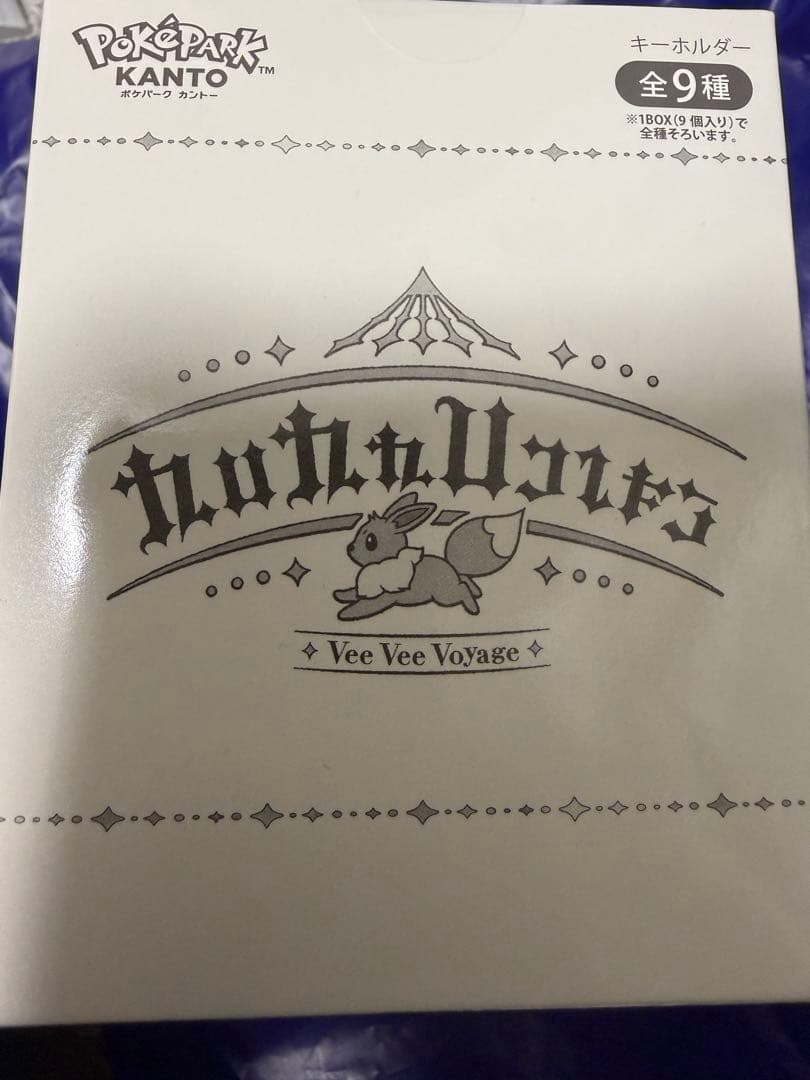 ポケパークカントー限定 イーブイズ アクリルキーホルダー フルコンプ