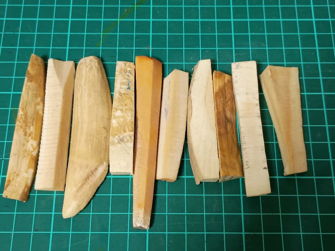 マッコウ鯨　牙　鯨歯　138g程度