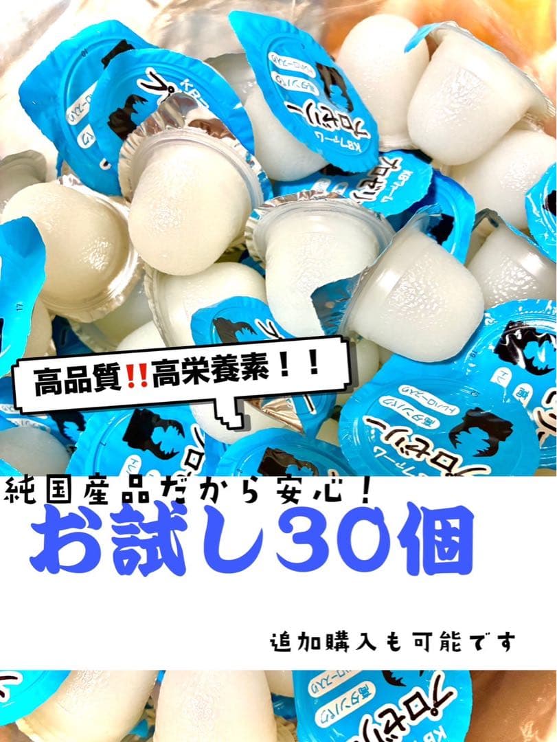 昆虫ゼリー KBファーム プロゼリー16g 30 - メルカリ