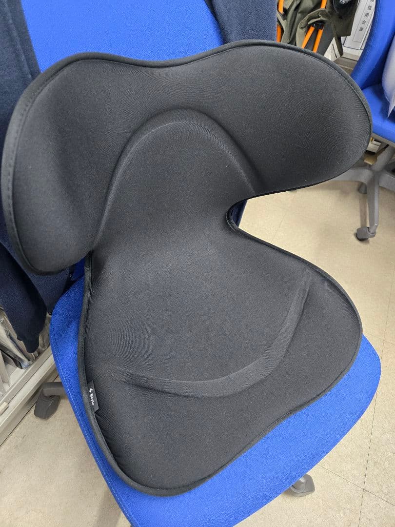 骨盤・姿勢矯正クッション 黒　Style