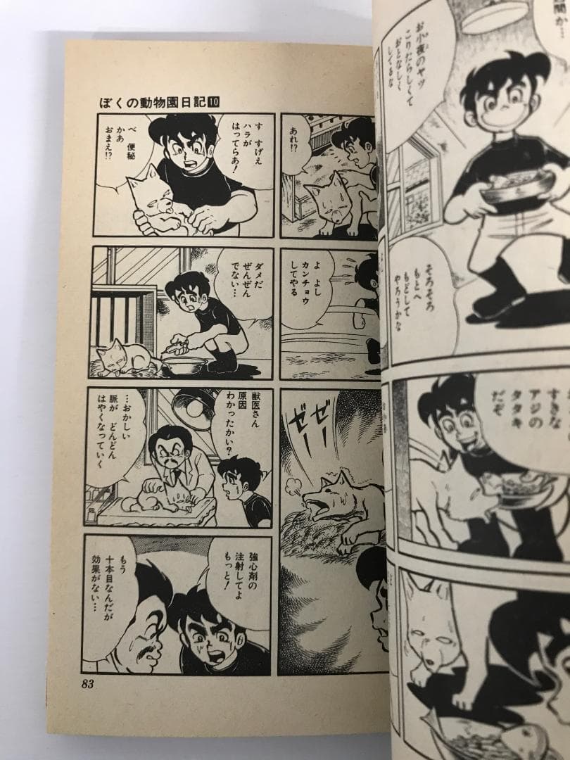 90 【初版有】ぼくの動物園日記 全10巻 飯森広一 集英社 - メルカリ
