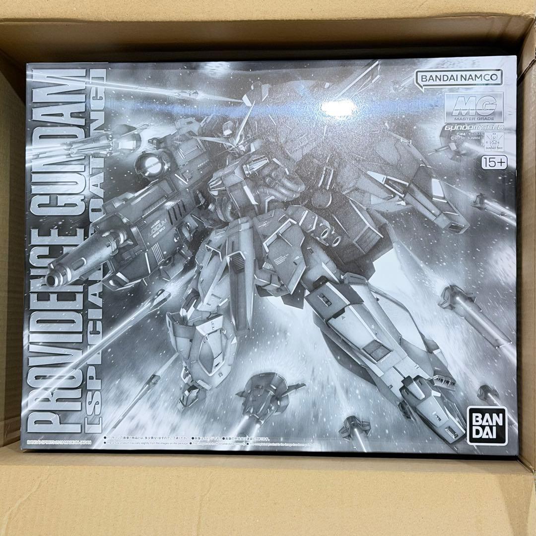 新品 MG プロヴィデンスガンダム ［スペシャルコーティング］ 1/100
