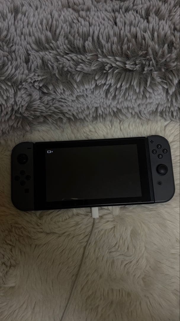 任天堂　switch 本体　動作確認済 Nintendo Switch 本体/ニンテンドースイッチ/動作確認済/初期化済