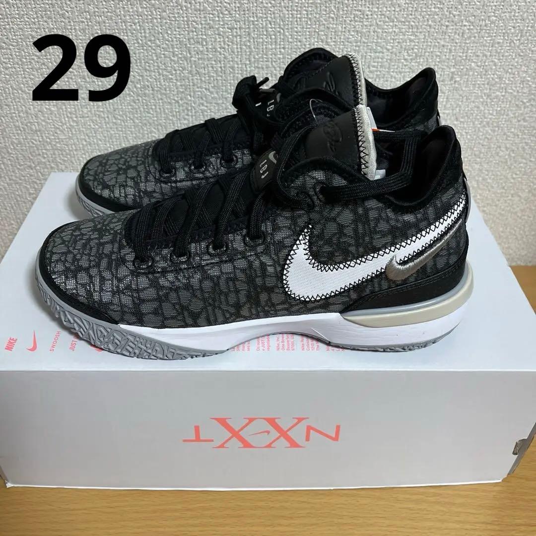 新品 ZOOM LEBRON NXXT GEN EP 黒 29cm